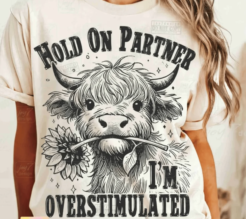 Hold On Partner I'm Overstimulated