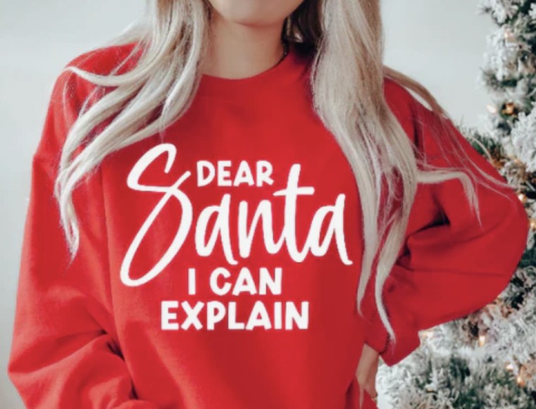 Dear Santa I Can Explain
