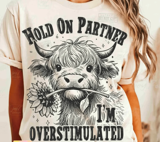 Hold On Partner I'm Overstimulated