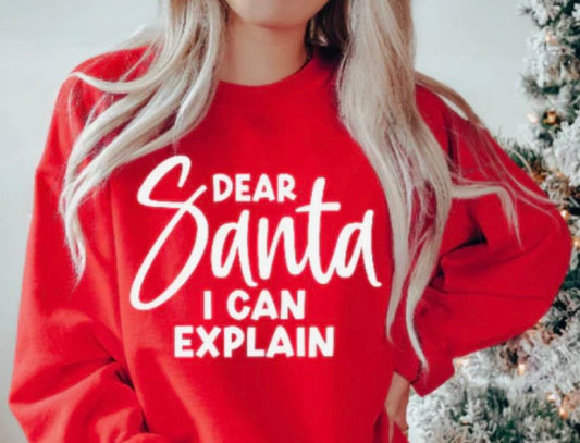Dear Santa I Can Explain