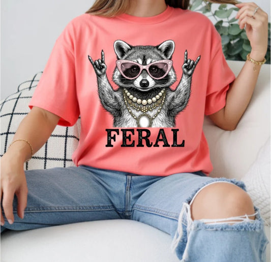 Feral Racoon