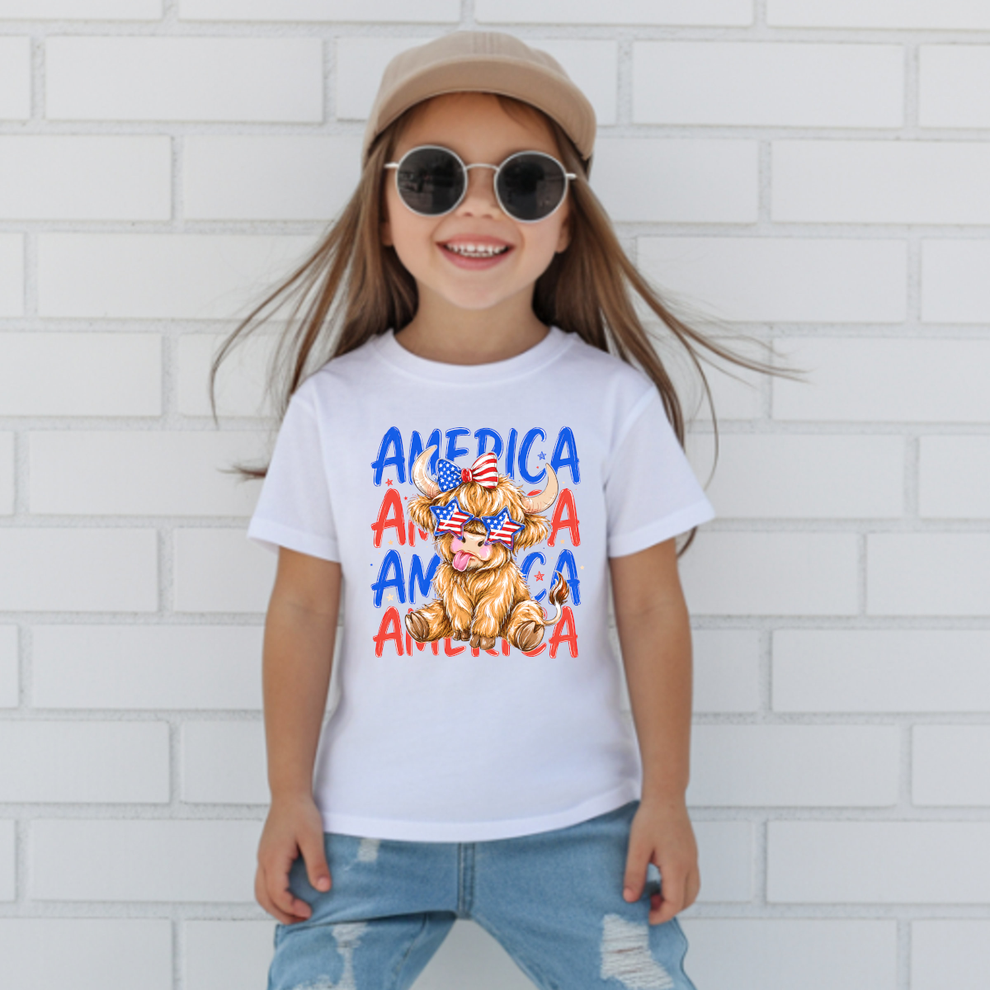 America Cow