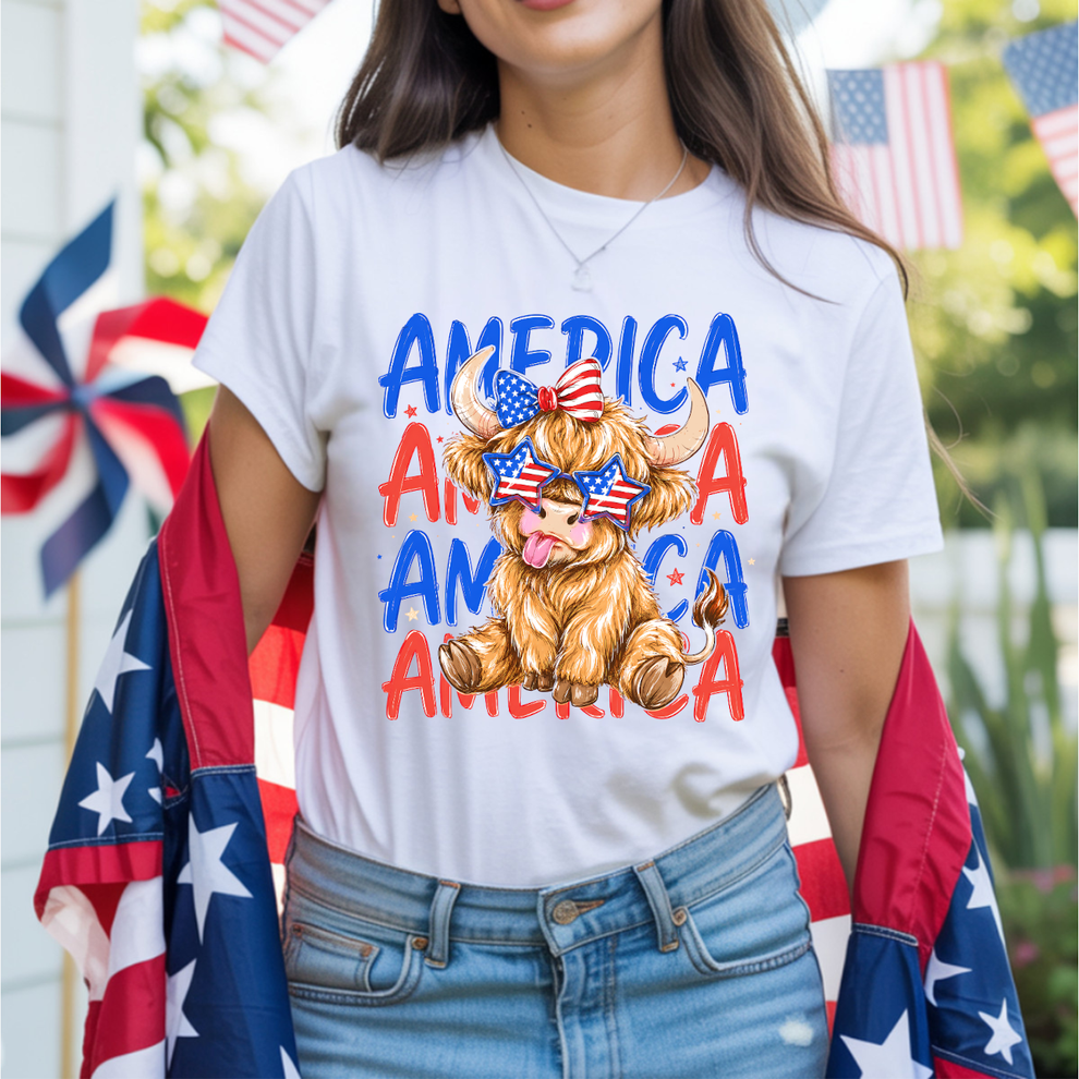 America Cow